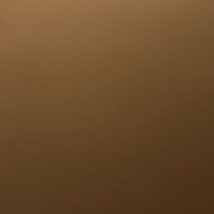 Meet your Posher, Peyton